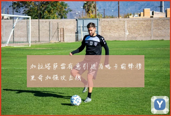 加拉塔萨雷有意引进马略卡前锋穆里奇加强攻击线